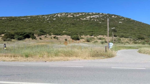 (For Sale) Land Agricultural Land  || Arkadia/Tripoli - 5.410 Sq.m, 160.000€ 