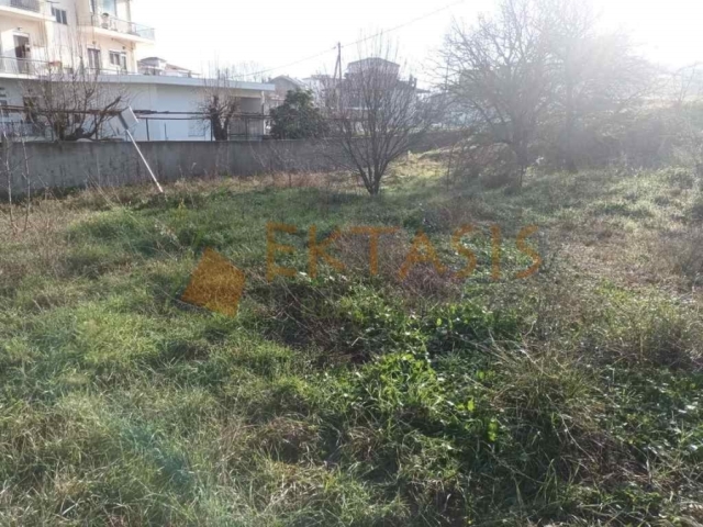 (For Sale) Land Plot || Arkadia/Tripoli - 265 Sq.m, 80.000€ 